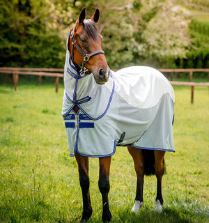 Chemise Anti-mouches Amigo® Airflow Horseware