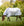 Chemise Anti-mouches Amigo® Airflow Horseware