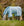 Chemise Anti-mouches Amigo® Bug Buster Plus Horseware