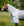Chemise Anti-mouches Amigo® AmEco Bug Buster Plus Horseware