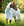 Chemise Anti-mouches Amigo® AmEco Bug Buster Plus Horseware