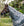 Chemise Anti-mouches Amigo® CamoFly Plus Horseware