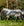 Couverture Anti-mouches 3-en-1 Amigo® CamoFly Plus Horseware