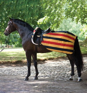 Protecție pentru șale polară Rambo Horseware