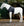 Protège-épaules Lycra Rambo® Slinky Shoulder Horseware