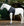 Protège-épaules Lycra Rambo® Slinky Shoulder Horseware