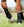 Woof Wear – Guêtres Sports Medicine Air-Tech Premier Equine Black 2 | Sellerie Bucéphale