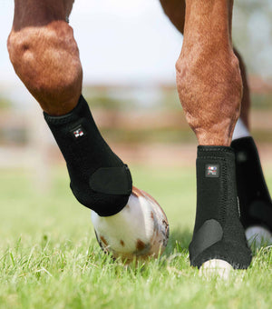 Woof Wear – Guêtres Sports Medicine Air-Tech Premier Equine Black 2 | Sellerie Bucéphale