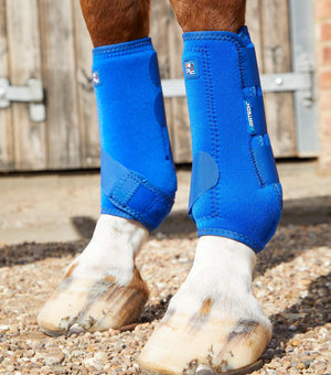 Woof Wear – Guêtres Sports Medicine Air-Tech Premier Equine Royal Blue | Sellerie Bucéphale
