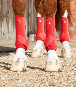 Woof Wear – Guêtres Sports Medicine Air-Tech Premier Equine Red 3 | Sellerie Bucéphale