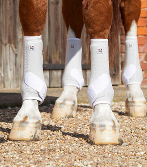 Woof Wear – Guêtres Sports Medicine Air-Tech Premier Equine White 2 | Sellerie Bucéphale