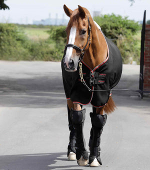 Woof Wear – Guêtres de transport Airtechnology Knee Pro-Tech Premier Equine Black 2 | Sellerie Bucéphale