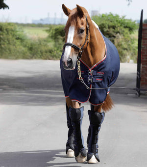 Woof Wear – Guêtres de transport Airtechnology Knee Pro-Tech Premier Equine Navy 2 | Sellerie Bucéphale
