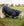 Ensemble Couverture d’Extérieur Rhino® Poney 0g + Doublure 200g Horseware
