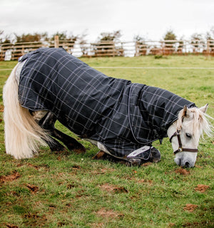 Ensemble Couverture d’Extérieur Rhino® Poney 0g + Doublure 200g Horseware