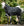 Ensemble Couverture d’Extérieur Rhino® Poney 0g + Doublure 200g Horseware