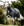Ensemble Couverture d’Extérieur Rhino® Poney 0g + Doublure 200g Horseware