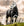 Ensemble Couverture d’Extérieur Rhino® Poney 0g + Doublure 200g Horseware