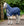Couverture d’Extérieur Rhino® Plus Poney 0g Horseware