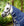Couverture d’Extérieur Rhino® Plus Poney 100g Horseware