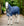 Couverture d’Extérieur Rhino® Plus Poney 100g Horseware