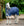 Couverture d’Extérieur Rhino® Plus Poney 100g Horseware