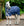 Couverture d’Extérieur Rhino® Plus Poney 250g Vari-Layer Horseware