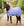 Couverture Séchante Poney Amigo® Jersey Horseware