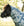 Chemise Anti-mouches Amigo® Bug Rug Plus Petite Horseware