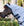 Chemise d’Été Amigo® Ripstop Petite Hoody Horseware