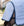 Chemise d’Été Amigo® Ripstop Petite Hoody Horseware