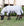 Chemise d’Été Amigo® Ripstop Petite Hoody Horseware