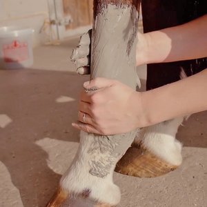 Kevin Bacon's – KEVIN BACON’S Argile de Manicouagan    | Sellerie Bucéphale