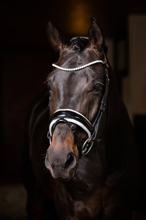 Frontal Cristal Ice LeMieux - Noir - photo produit