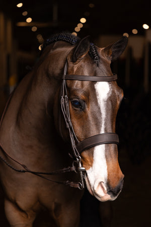 Bridon Hunter Plat avec Rênes Lacées LeMieux - Havane/argent - photo produit