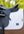 Woof Wear – Tapis de dressage Herringbone Woof Wear Blanc 5 | Sellerie Bucéphale