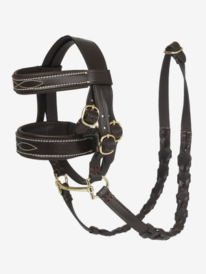 Bride de Chasse Toy Pony LeMieux