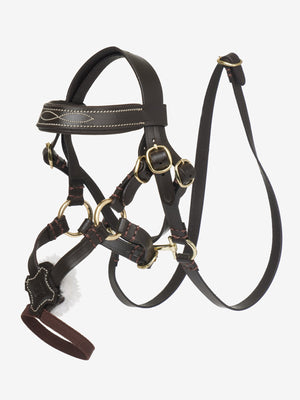 Bride Grackle Toy Pony LeMieux