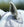 Woof Wear – Masque anti-mouches Buster Standard Premier Equine Silver 3 | Sellerie Bucéphale