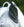 Woof Wear – Masque anti-mouches Buster Xtra Premier Equine Silver 3 | Sellerie Bucéphale