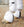 Woof Wear – Cloches Carbon Tech Kevlar No-Turn Premier Equine White 3 | Sellerie Bucéphale