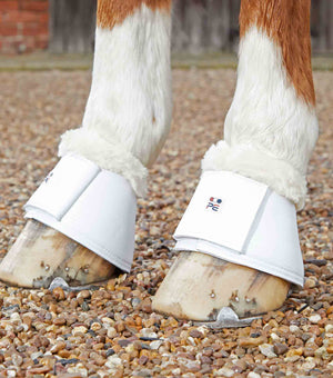 Woof Wear – Cloches Carbon Tech Techno Wool Premier Equine White | Sellerie Bucéphale
