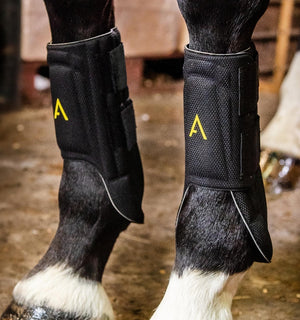 Guêtres Horseware® Adagio