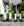 Bandes Polaires Horseware®