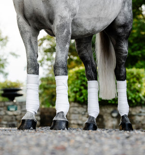 Bandes Polaires Horseware®