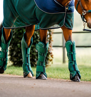 Protecții pentru transport Horseware Signature