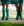 Protecții pentru transport Horseware Signature