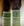 Bandes Polaires Amigo® Horseware