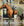 Bandes Polaires Amigo® Horseware