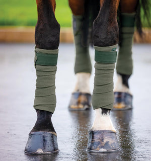 Bandes Polaires Amigo® Horseware